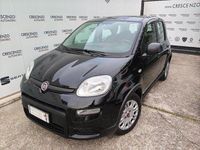 Usata Fiat Panda City Life 69 CV (50 kW) 2023 Nero Utilitaria