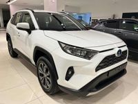 usata Toyota RAV4 EV 