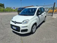 Usata Fiat Panda Easy 69 CV (50 kW) 2020 Bianco Utilitaria