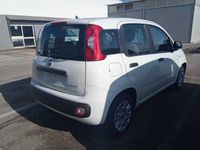 usata Fiat Panda PANDA 3ª SERIE NEW My21 1.0 70cv Hybrid