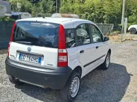 Usata Fiat Panda 4x4 69 CV (50 kW) 2006 Bianco Utilitaria