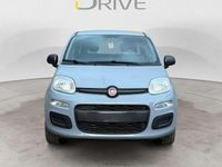 Usata Fiat Panda Easy 69 CV (50 kW) 2019 Grigio Berlina