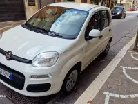 Usata Fiat Panda Easy 69 CV (50 kW) 2020 Utilitaria