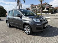 Usata Fiat Panda Lounge 69 CV (50 kW) 2019 Grigio Utilitaria