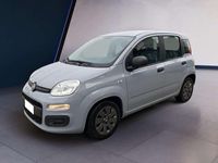 Usata Fiat Panda S 69 CV (50 kW) 2022 Grigio Utilitaria
