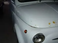 Usata Fiat 500 18 CV (13 kW) 1968 Bianco Utilitaria