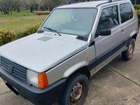 Usata Fiat Panda 4x4 54 CV (39 kW) 2003 Grigio Utilitaria