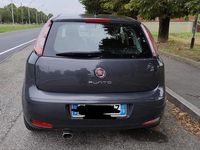 Usata Fiat Punto Easy 77 CV (56 kW) 2015 Grigio Utilitaria