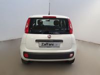 usata Fiat Panda 1.2 Easy NEOPATENTATI