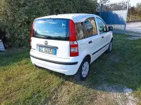 Usata Fiat Panda 75 CV (55 kW) 2011 Bianco Utilitaria
