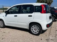 Usata Fiat Panda Lounge 69 CV (50 kW) 2017 Bianco Utilitaria