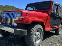 Usata Jeep Wrangler 120 CV (88 kW) 1991 SUV