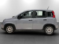 Usata Fiat Panda S 70 CV (51 kW) 2023 Grigio Utilitaria