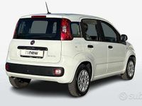 Usata Fiat Panda Easy 70 CV (51 kW) 2020 Bianco Utilitaria