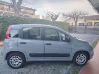 Usata Fiat Panda Easy 69 CV (50 kW) 2019 Utilitaria