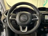 Usata Jeep Renegade 120 CV (88 kW) 2019 Grigio SUV