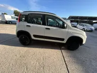Usata Fiat Panda 4x4 S 86 CV (63 kW) 2019 Other Utilitaria