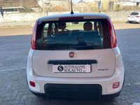 Usata Fiat Panda S 71 CV (52 kW) 2023 Bianco Utilitaria