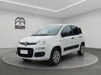 Usata Fiat Panda 4x4 Pop 85 CV (62 kW) 2020 Bianco Utilitaria