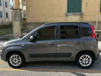 Usata Fiat Panda Lounge 69 CV (50 kW) 2020 Utilitaria