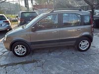 Usata Fiat Panda Dynamic 59 CV (43 kW) 2010 Grigio Berlina