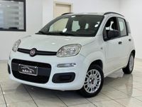 usata Fiat Panda 1.2 Easy