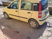 Usata Fiat Panda Dynamic 60 CV (44 kW) 2009 Giallo Utilitaria