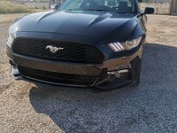 usata Ford Mustang 3.7