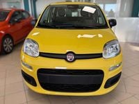 Nuova Fiat Panda Pop 69 CV (50 kW) 2026 Giallo Utilitaria