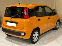 Usata Fiat Panda Easy 69 CV (50 kW) 2019 Other Utilitaria