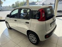 Usata Fiat Panda Easy 95 CV (69 kW) 2019 Bianco Utilitaria