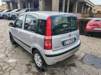 Usata Fiat Panda Dynamic 60 CV (44 kW) 2009 Gray Utilitaria