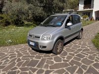 Usata Fiat Panda 4x4 69 CV (50 kW) 2010 Argento Utilitaria