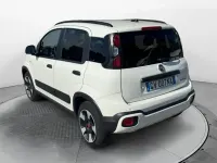 Usata Fiat Panda Cross Cross 69 CV (50 kW) 2024 Bianco Utilitaria