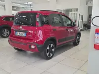 Usata Fiat Panda Cross Cross 69 CV (50 kW) 2023 Rosso Utilitaria