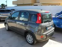 Usata Fiat Panda S 69 CV (50 kW) 2023 Grigio Utilitaria