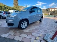 Usata Fiat Panda Connect 69 CV (50 kW) 2021 Grigio Utilitaria