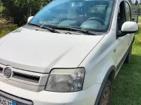 Usata Fiat Panda 4x4 Climbing 75 CV (55 kW) 2011 Bianco Utilitaria