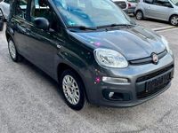 usata Fiat Panda 1.2 8V 69CV Easy - 2017