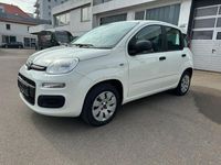 Usata Fiat Panda Lounge 69 CV (50 kW) 2013 Bianco Utilitaria