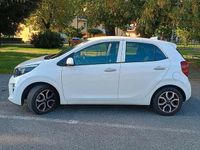 Usata Kia Picanto 2020 Bianco Utilitaria