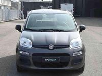 Usata Fiat Panda S 70 CV (51 kW) 2022 Grigio Utilitaria