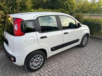 Usata Fiat Panda 69 CV (50 kW) 2018 Utilitaria