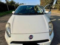 Usata Fiat Punto 2013 Bianco Berlina