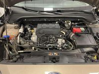 Usata Ford Focus Active 125 CV (91 kW) 2020 Bronzo Berlina