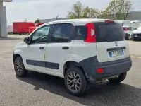 Usata Fiat Panda 4x4 Pop 86 CV (63 kW) 2019 Bianco Utilitaria