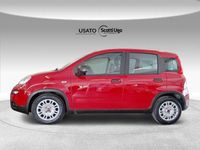 usata Fiat Panda New1.0 FireFly Hybrid