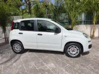Usata Fiat Panda Lounge 69 CV (50 kW) 2020 Bianco Utilitaria