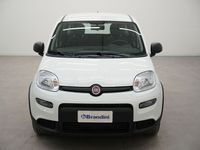 usata Fiat Panda 1.0 FireFly Hybrid