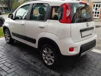 Usata Fiat Panda 4x4 75 CV (55 kW) 2012 Bianco Utilitaria